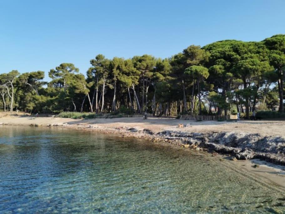 Studio Zen Sud Plage A Pied Pin Rolland Sablettes Saint-Elme Extérieur photo